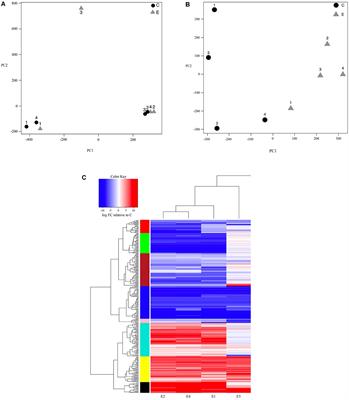 Prolonged Bat Call Exposure Induces a Broad Transcriptional Response in the Male Fall Armyworm (Spodoptera frugiperda; Lepidoptera: Noctuidae) Brain